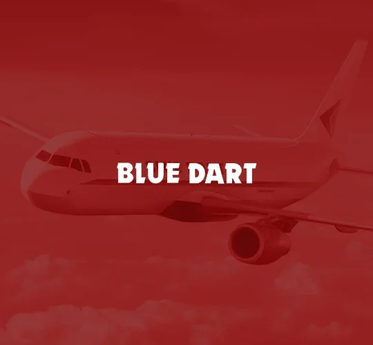 Blue Dart implemented a WhatsApp-based chatbot to simplify and speed up delivery communications with customers.